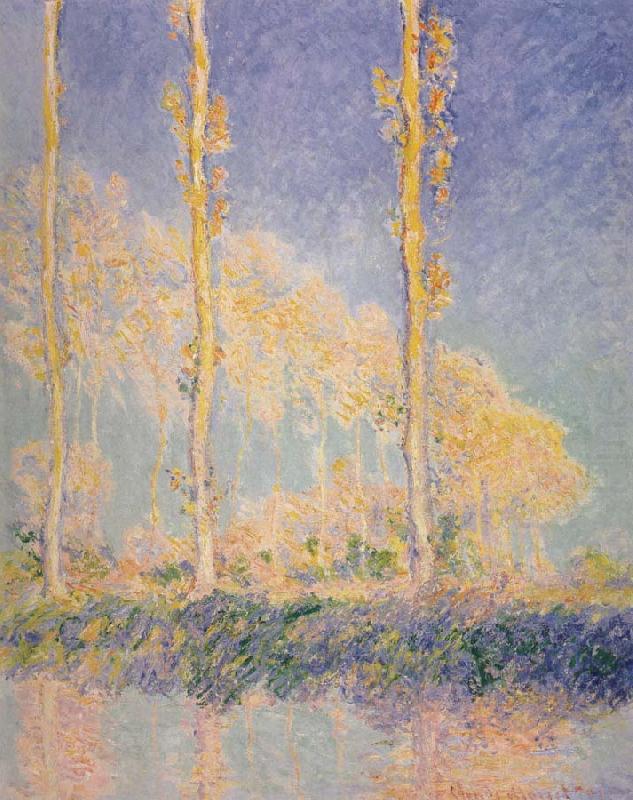 Claude Monet Three Poplars,Autumn Effect china oil painting image